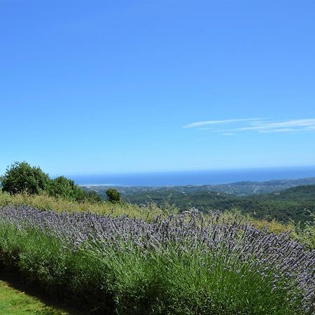 La Bastide Des Pins Bed & Breakfast Vence Dış mekan fotoğraf