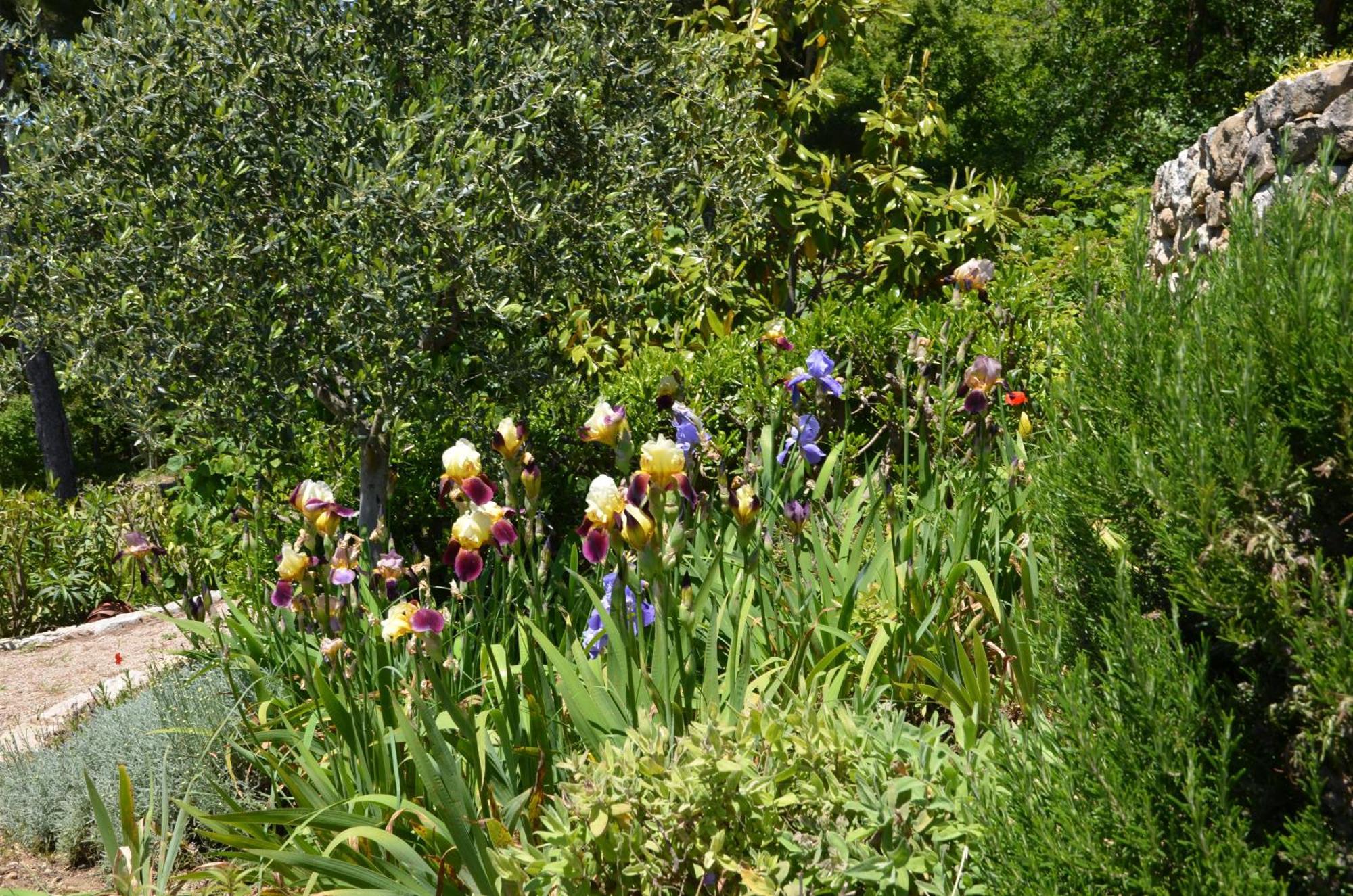La Bastide Des Pins Bed & Breakfast Vence Dış mekan fotoğraf