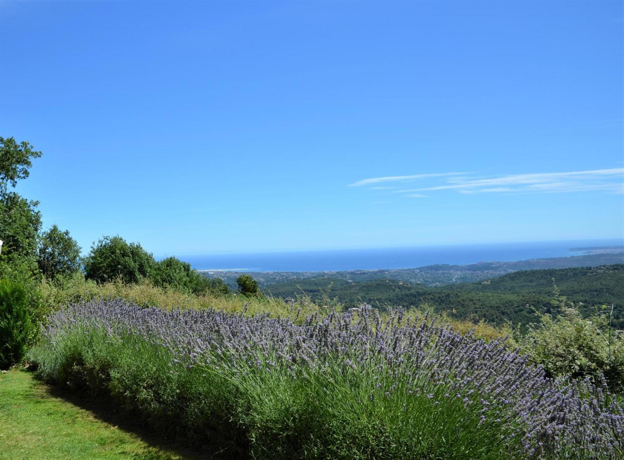 La Bastide Des Pins Bed & Breakfast Vence Dış mekan fotoğraf