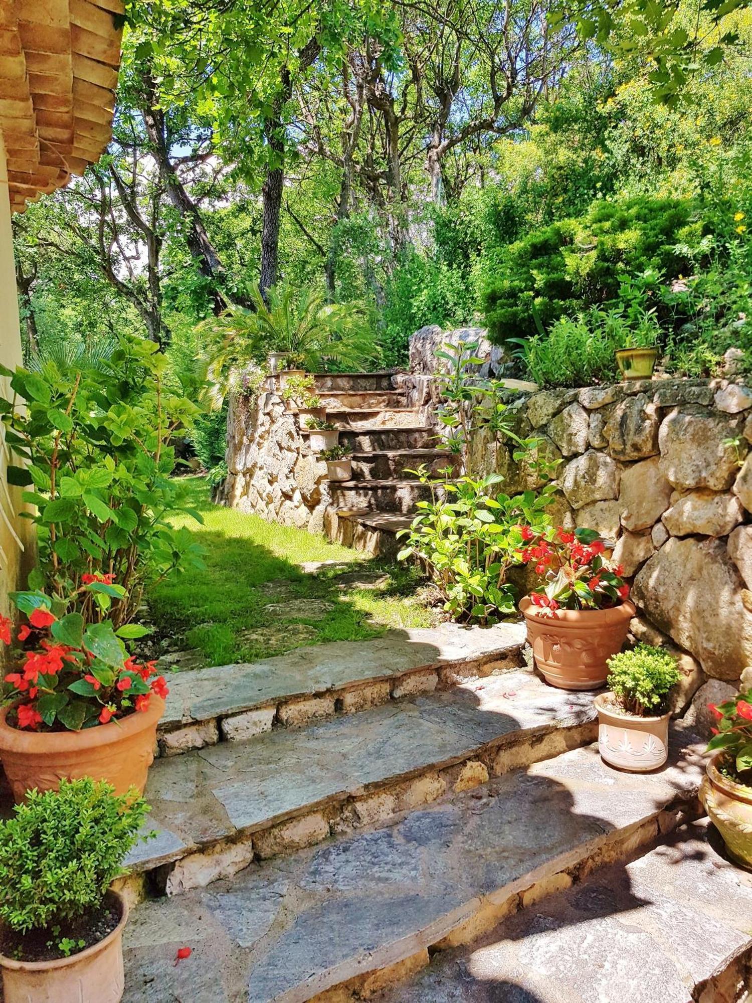 La Bastide Des Pins Bed & Breakfast Vence Dış mekan fotoğraf